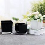 Wholesale square glass vase HP-194-2 wholesale photo - two glossy black and one white spray-color square vases styled on a table