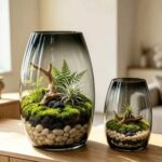 Wholesale smoked glass vase HP-254 wholesale photo - two smoked grey gradient glass vases, one large and one small, planted with moss and air plants as indoor terrariums