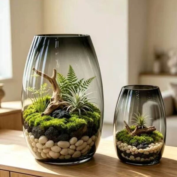Wholesale smoked glass vase HP-254 wholesale photo - two smoked grey gradient glass vases, one large and one small, planted with moss and air plants as indoor terrariums